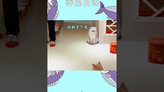 万万没想到是这样的结局|乔巴日记 万万没想到是这样的结局|乔巴日记