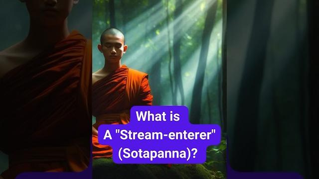 What is a "stream-enterer" (sotapanna)? #streamenterer #enlightenment #nirvana #fyp #trending What is a "stream-enterer" (sotapanna)? #streamenterer #enlightenment #nirvana #fyp #trending