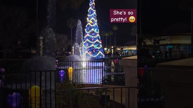 Hollywood studios at christmas #waltdisney #christmasatdisney #disneychristmas #disneyholiday Hollywood studios at christmas #waltdisney #christmasatdisney #disneychristmas #disneyholiday