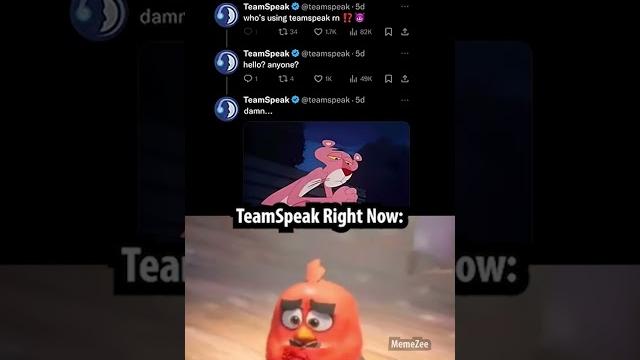 Teamspeak Teamspeak