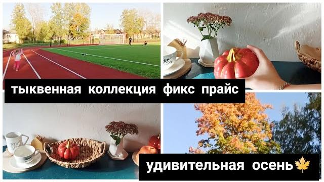 Золотая осеньтыквенная коллекция из фикс прайс Золотая осеньтыквенная коллекция из фикс прайс