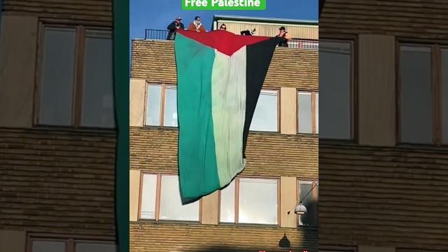 Free palestine || free gaza || maher zain free palestine Free palestine || free gaza || maher zain free palestine