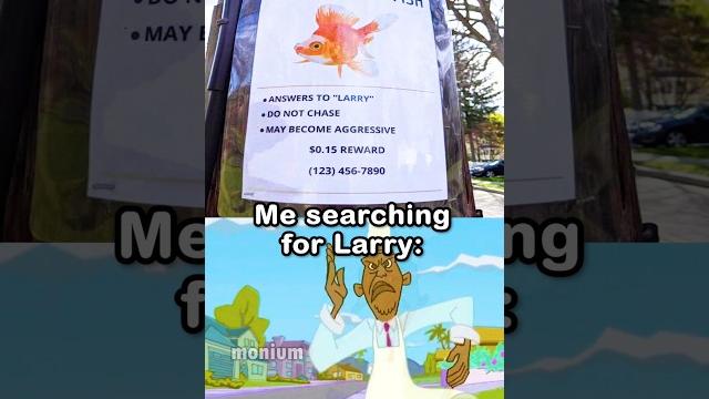 Missing goldfish Missing goldfish
