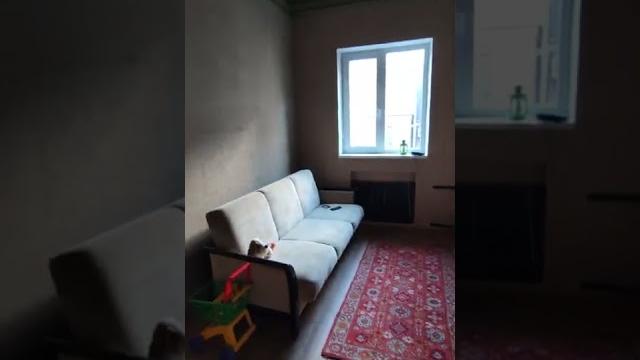 Vid 20220516 181619 Vid 20220516 181619