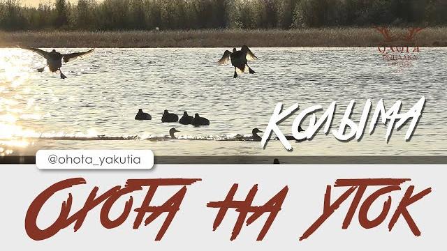 Охота на уток. колыма. Охота на уток. колыма.