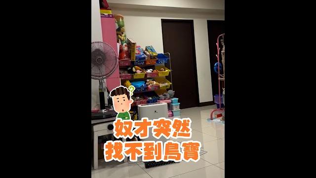 【找好久找不到】巨嘴鳥居然偽裝成玩偶躲在玩具櫃上 #shorts 【找好久找不到】巨嘴鳥居然偽裝成玩偶躲在玩具櫃上 #shorts