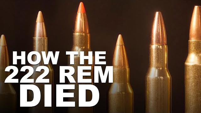 Cartridges that killed the 222 remington Cartridges that killed the 222 remington