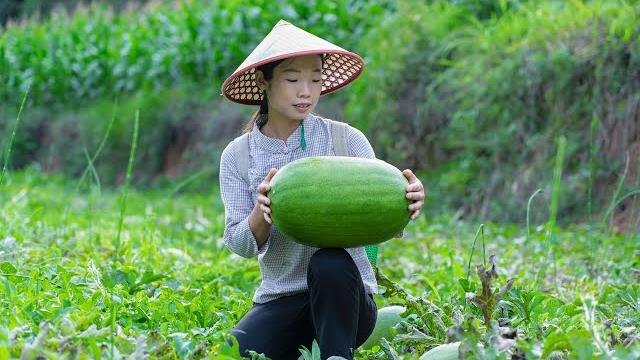 Use watermelon to make some chinese delicacies Use watermelon to make some chinese delicacies