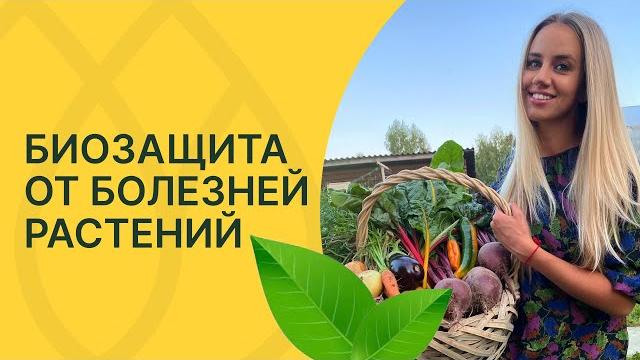 Лучшая защита от болезней растений! Лучшая защита от болезней растений!