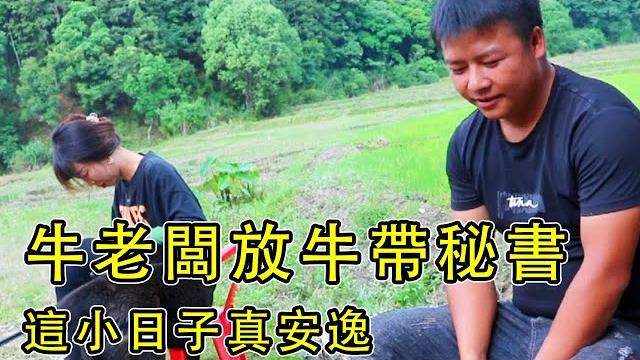 3位牛老闆真大氣,放牛還帶私人廚娘和秘書,這小日子太安逸了【石頭秀】 3位牛老闆真大氣,放牛還帶私人廚娘和秘書,這小日子太安逸了【石頭秀】