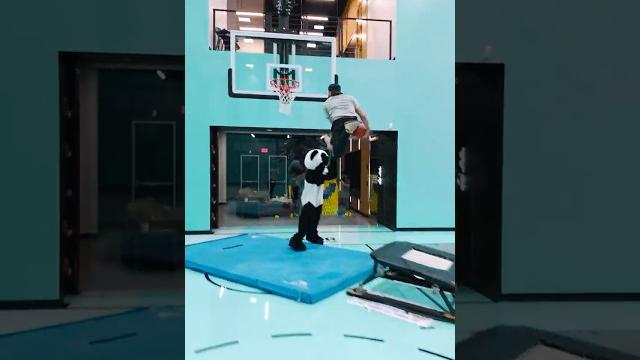 Panda got absolutely posterized Panda got absolutely posterized