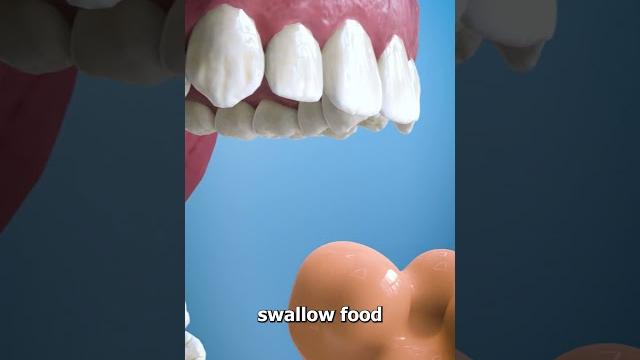 What is the purpose of your uvula? What is the purpose of your uvula?