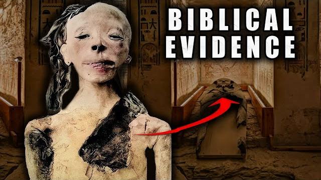 Tomb of the exodus pharaoh reveals biblical evidence Tomb of the exodus pharaoh reveals biblical evidence