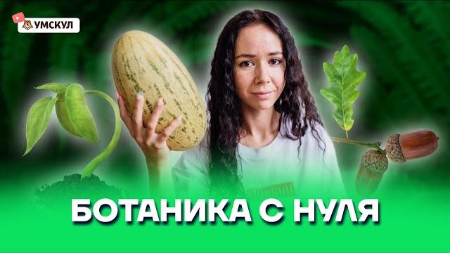 Ботаника с нуля | биология егэ 2022 | умскул Ботаника с нуля | биология егэ 2022 | умскул