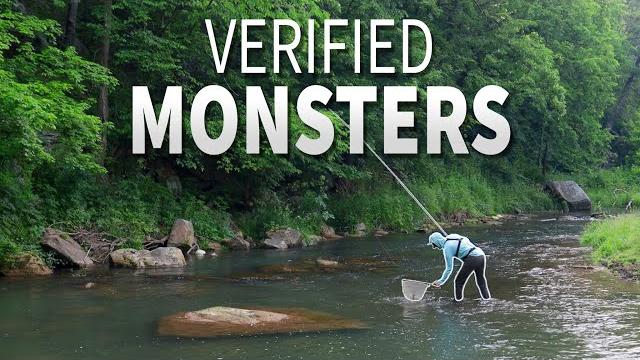 30 inch brown trout swim here (driftless magic) 30 inch brown trout swim here (driftless magic)