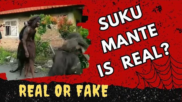 Suku mante real or fake | suku mante is real? | suku mante video check | reality | complete details Suku mante real or fake | suku mante is real? | suku mante video check | reality | complete details
