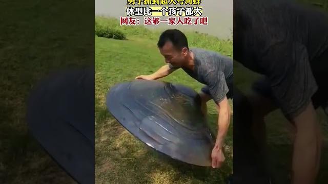 The largest pearl oyster in the world. #pearls The largest pearl oyster in the world. #pearls