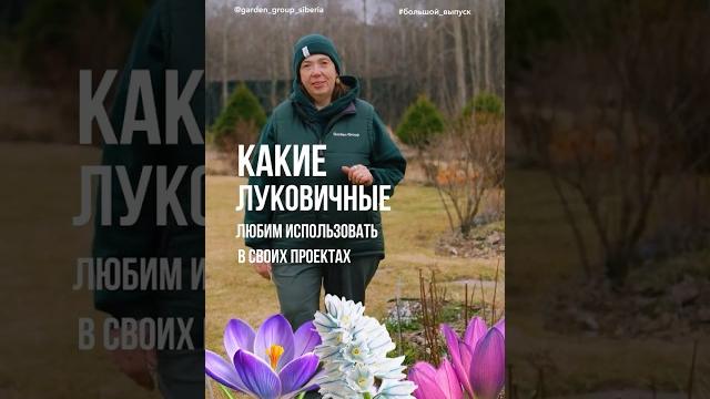 Секреты работы с луковичными #ландшафтныйдизайн Секреты работы с луковичными #ландшафтныйдизайн