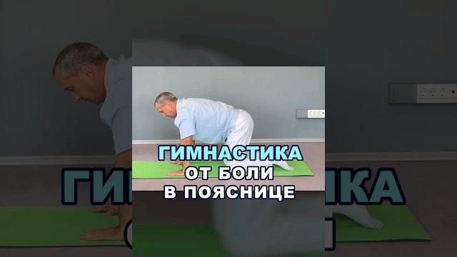 Гимнастика от боли в пояснице. смотрите полное видео на канале #здоровье #докторшишонин #поясница Гимнастика от боли в пояснице. смотрите полное видео на канале #здоровье #докторшишонин #поясница