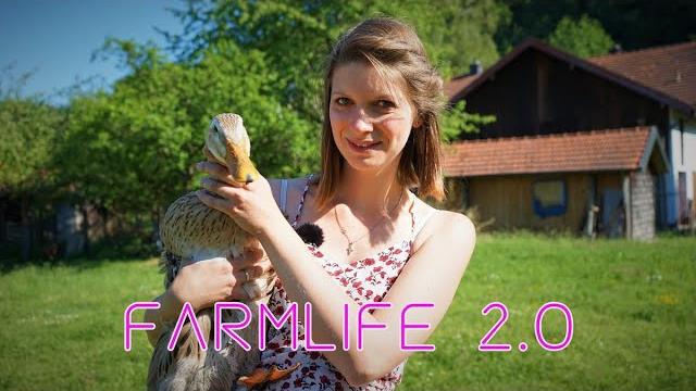 Self-sufficiency update on my farm - animal torturers at the farm? joy and sorrow - vanessa blank Self-sufficiency update on my farm - animal torturers at the farm? joy and sorrow - vanessa blank