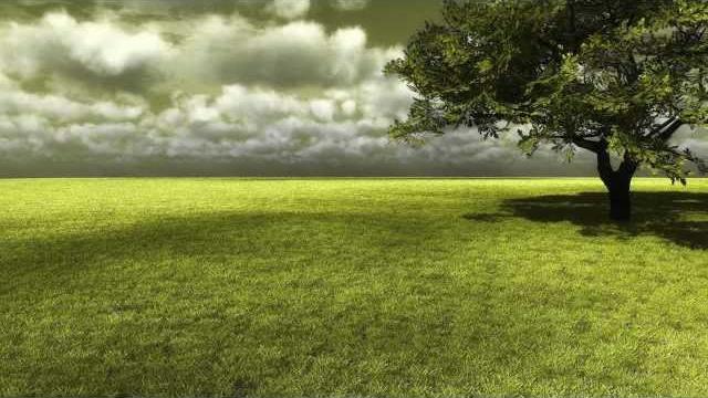 Pink floyd - high hopes (the division bell) Pink floyd - high hopes (the division bell)