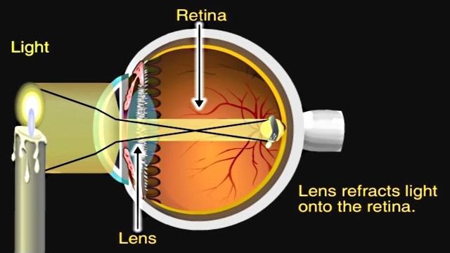 How the eye works animation - how do we see video - nearsighted & farsighted human eye anatomy How the eye works animation - how do we see video - nearsighted & farsighted human eye anatomy
