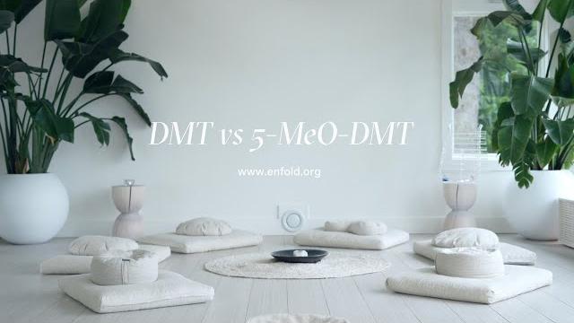 5-meo-dmt vs nn-dmt 5-meo-dmt vs nn-dmt