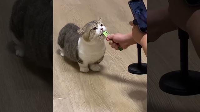 玉足 玉足
