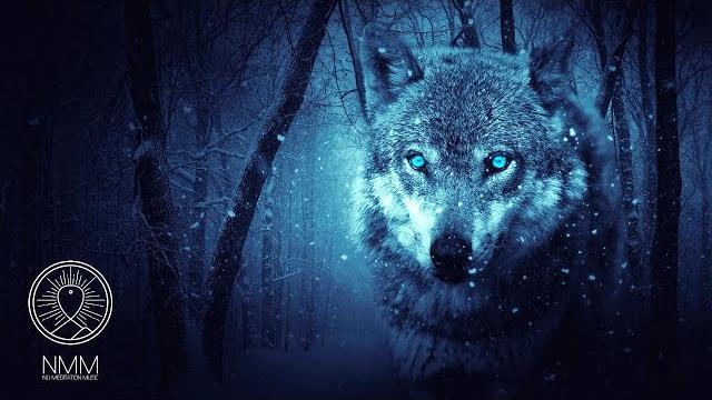 Native american flute music: "wolf instinct", meditation music for shamanic astral projection 41804n Native american flute music: "wolf instinct", meditation music for shamanic astral projection 41804n