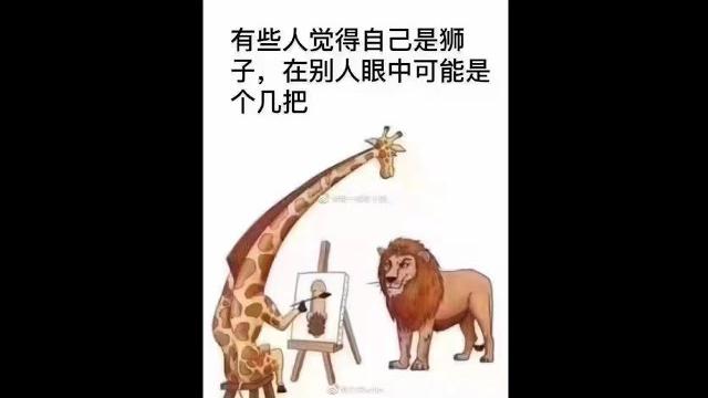 来吧!!鸟洞们!! 来吧!!鸟洞们!!