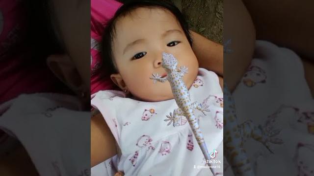 Mei-mei's tiktok Mei-mei's tiktok