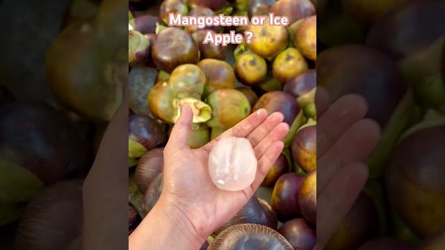 I love both #mangosteen #iceapple #fruit #food #india #summer #nature #shorts #taste #sunday I love both #mangosteen #iceapple #fruit #food #india #summer #nature #shorts #taste #sunday