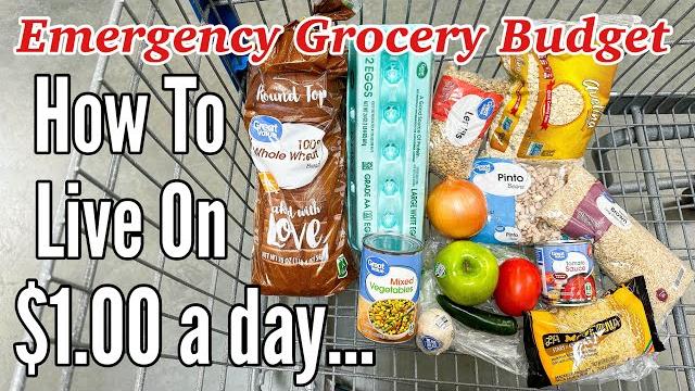 Eating for $1 a day (full week) Eating for $1 a day (full week)