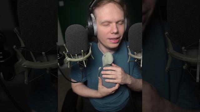 Sammy the kissing turtle loves you asmr Sammy the kissing turtle loves you asmr