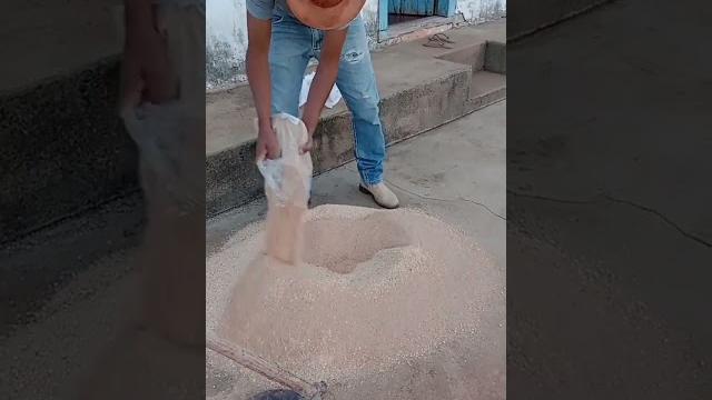 Como fazer ração barata para cavalo. Como fazer ração barata para cavalo.