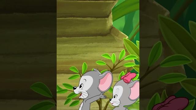 Baby panda surprise | abcmouse #learning #education #animals #panda #baby #explore #babypanda Baby panda surprise | abcmouse #learning #education #animals #panda #baby #explore #babypanda
