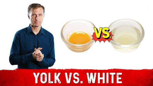 Egg yolk vs. egg white: what's the difference? Egg yolk vs. egg white: what's the difference?