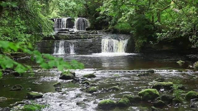 Forest nature sounds relaxing waterfall-birds chirping sleeping sound-water & birdsong meditation Forest nature sounds relaxing waterfall-birds chirping sleeping sound-water & birdsong meditation
