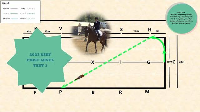 2023 usef first level test 1 2023 usef first level test 1