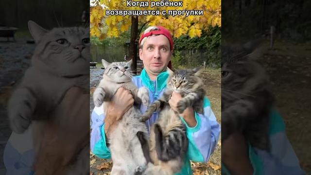 Сюрпризы для мамы Сюрпризы для мамы