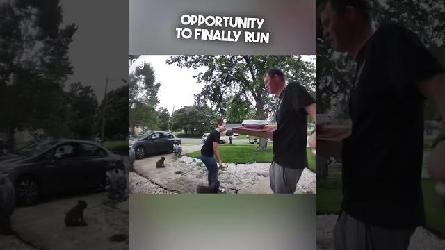 His dog tried to run away with the pizza lady His dog tried to run away with the pizza lady