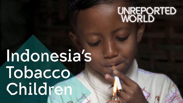 Indonesia's tobacco children | unreported world Indonesia's tobacco children | unreported world