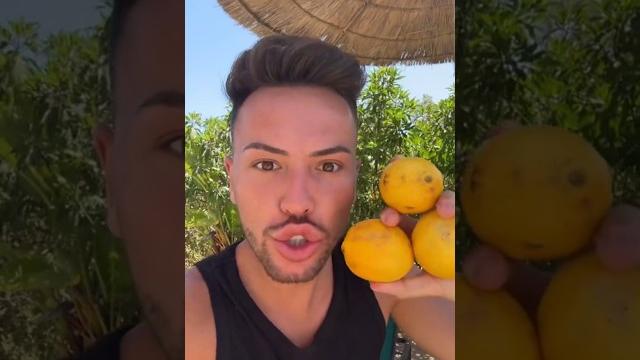 Les citrons font les cheveux blond Les citrons font les cheveux blond
