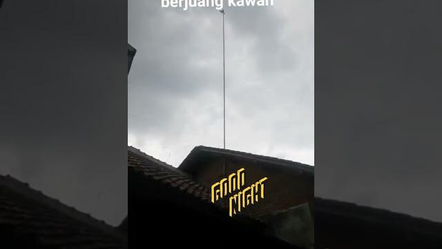 Ampun pakde Ampun pakde