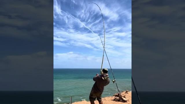 قريبا العودة لمواجهة وحوش الأسماك قريبا العودة لمواجهة وحوش الأسماك