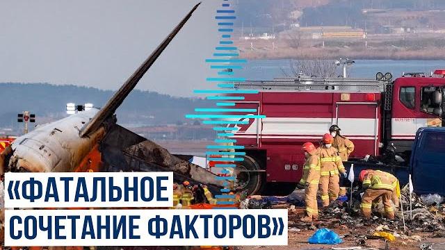 Названа причина авиакатастрофы в южной корее Названа причина авиакатастрофы в южной корее