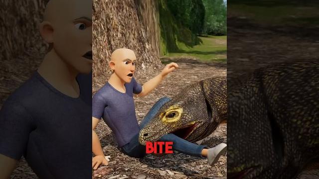 How to survive a komodo dragon attack How to survive a komodo dragon attack