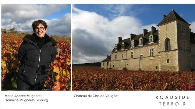 Episode 8: grands crus and grands vignerons Episode 8: grands crus and grands vignerons