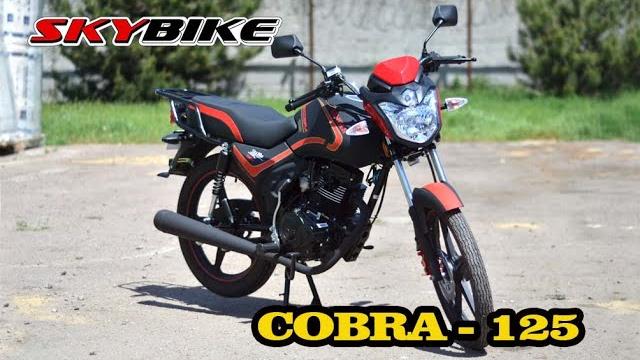 Новый китайский дорожный мотоцикл qingqi cobra 125 Новый китайский дорожный мотоцикл qingqi cobra 125
