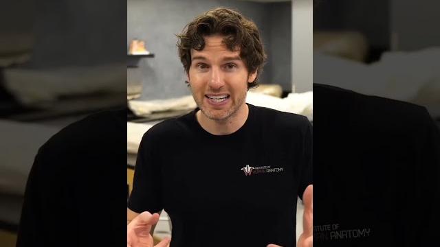Penis erection Penis erection